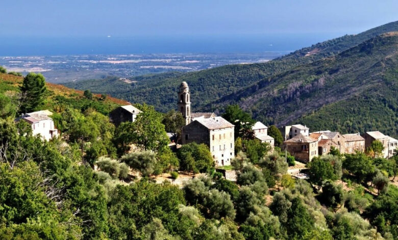 Ampriani
