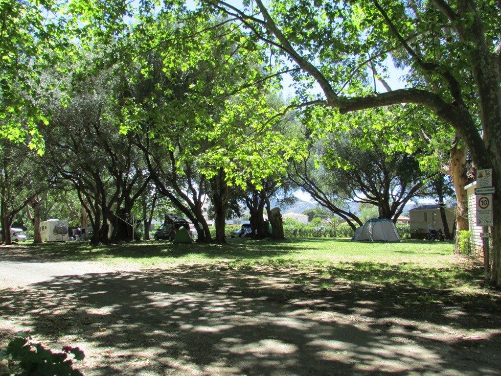 Camping d'Olzo Saint-Florent
