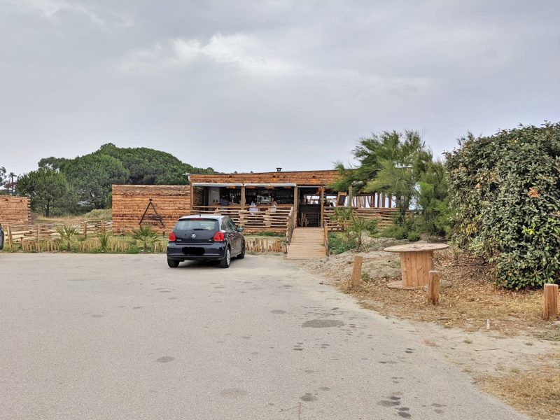 Albore taglio-isolaccio