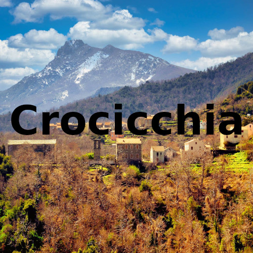 Crocicchia