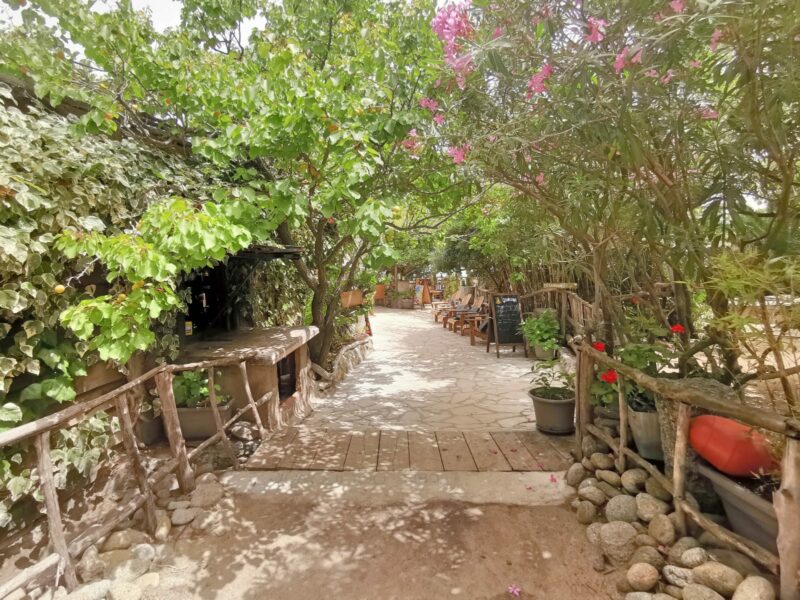 restaurant junquidou ghjunchitu corbara