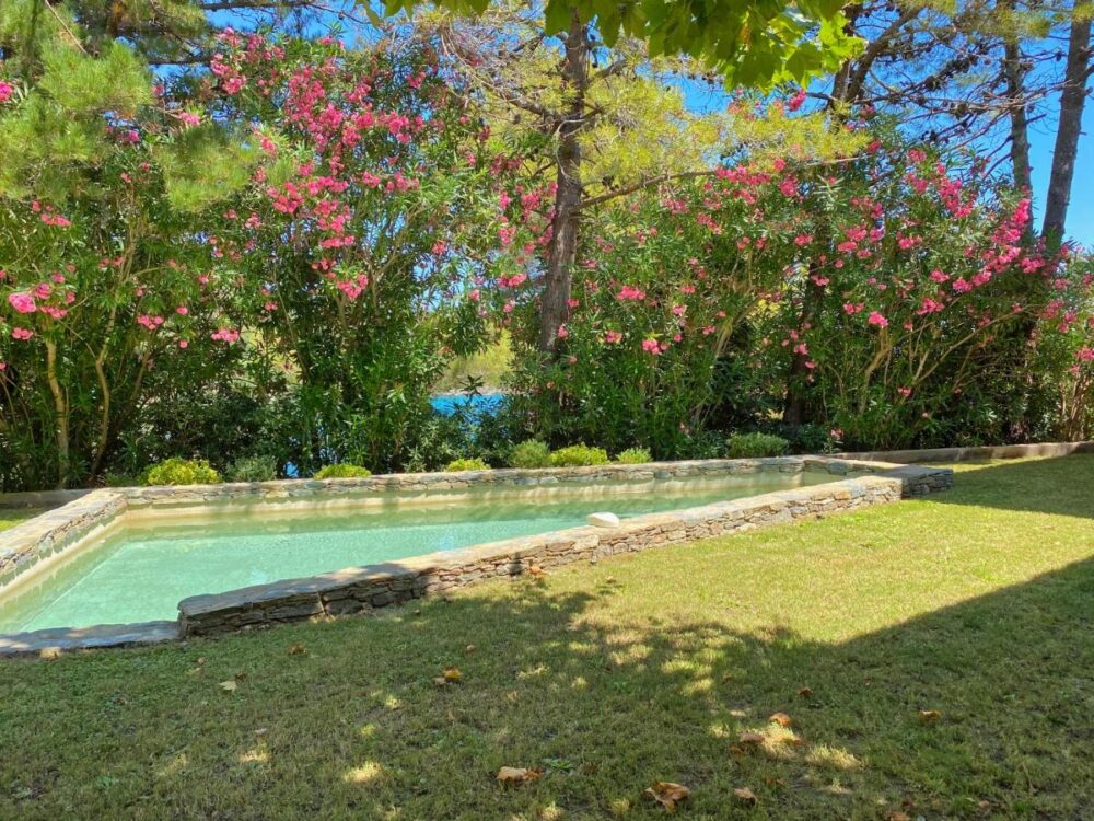 Piscine entourée d'arbustes fleuris roses.