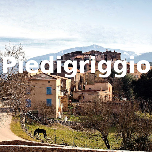 Piedigriggio