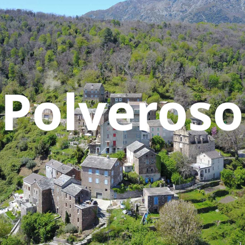 Polveroso