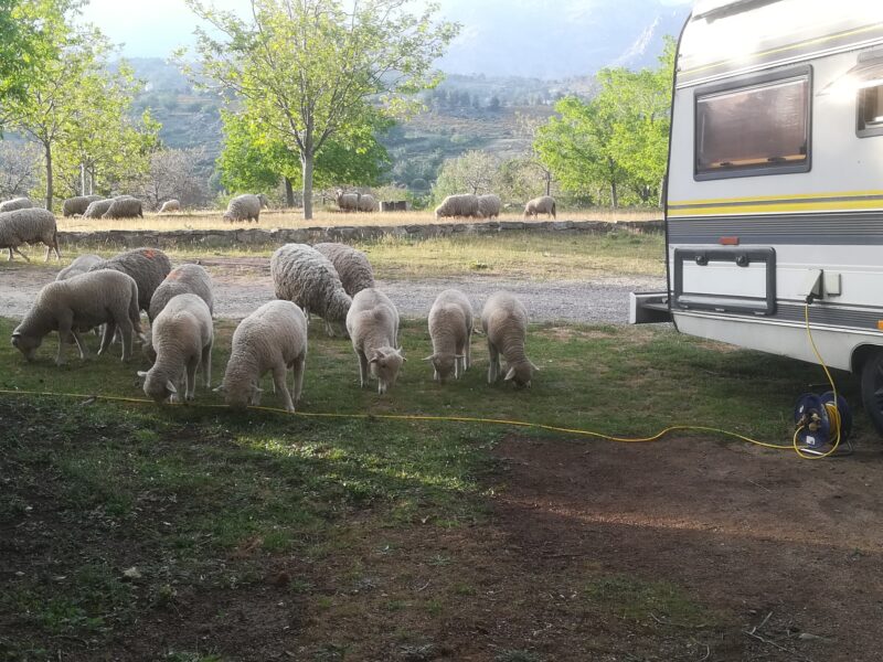 Camping Acquaviva Calacuccia