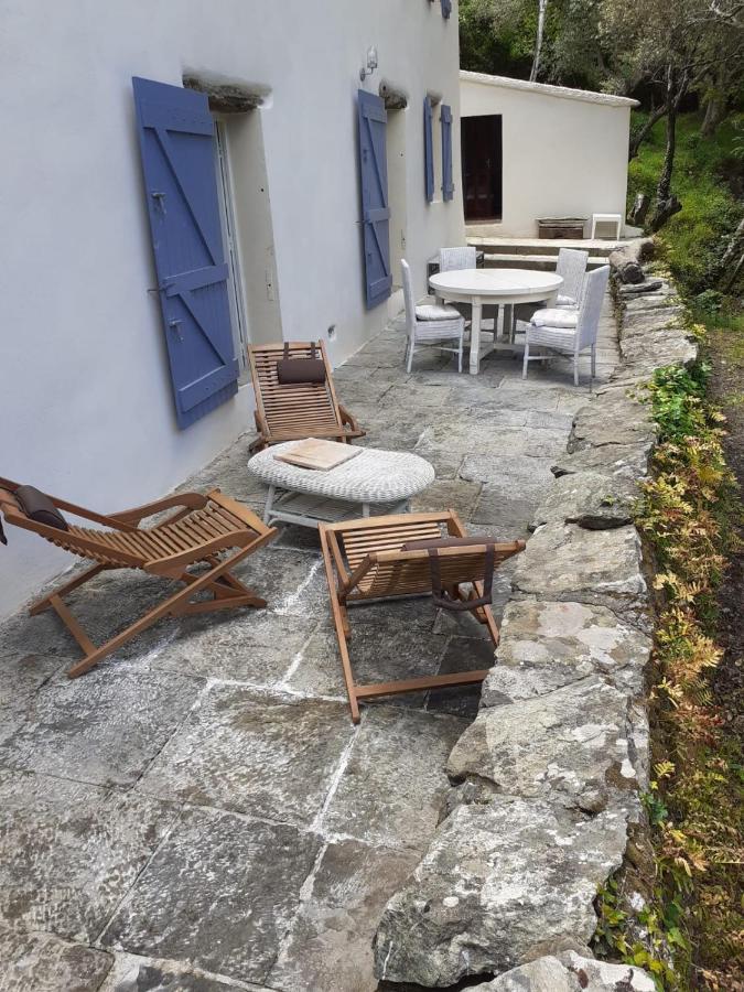 la vagolo luri