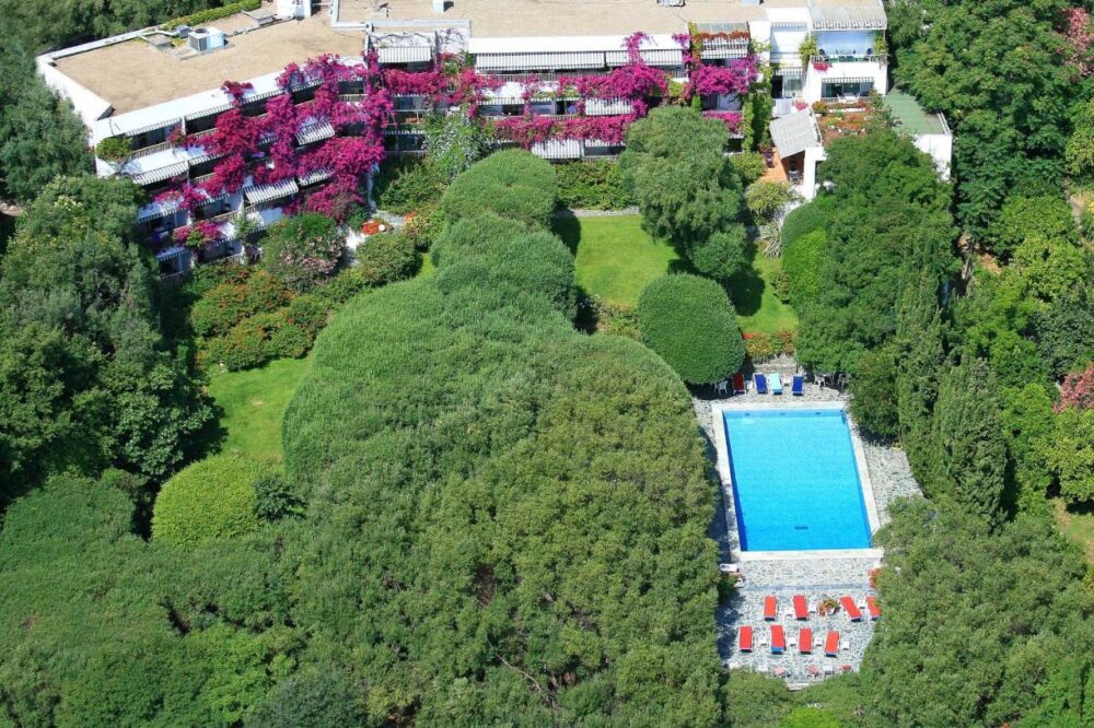 Vue aérienne d'une piscine entourée de verdure.