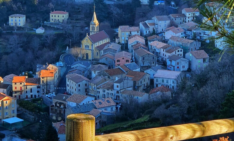 vivario