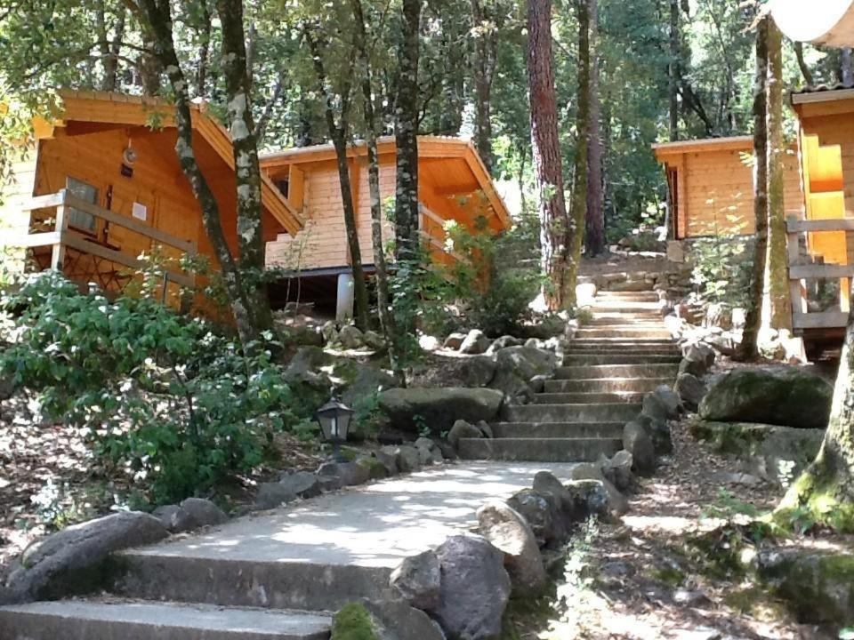 auberge de la foret de bonifatu
