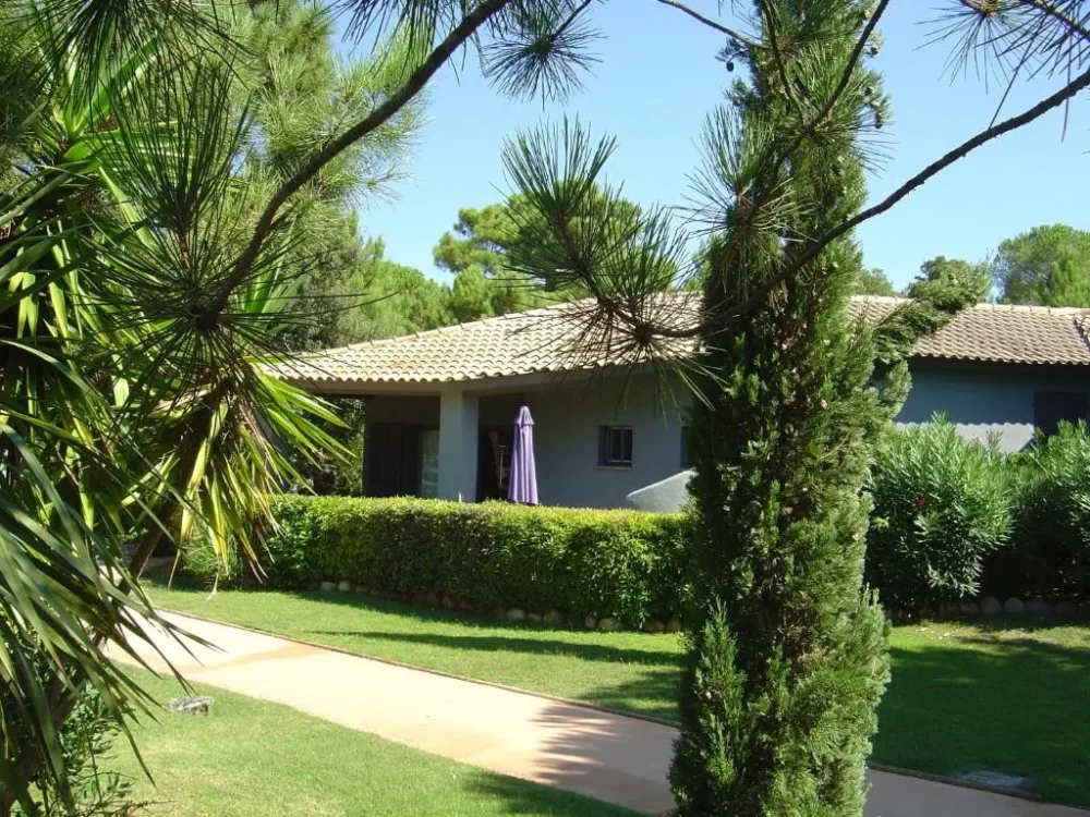 Maison entourée de verdure et arbres.
