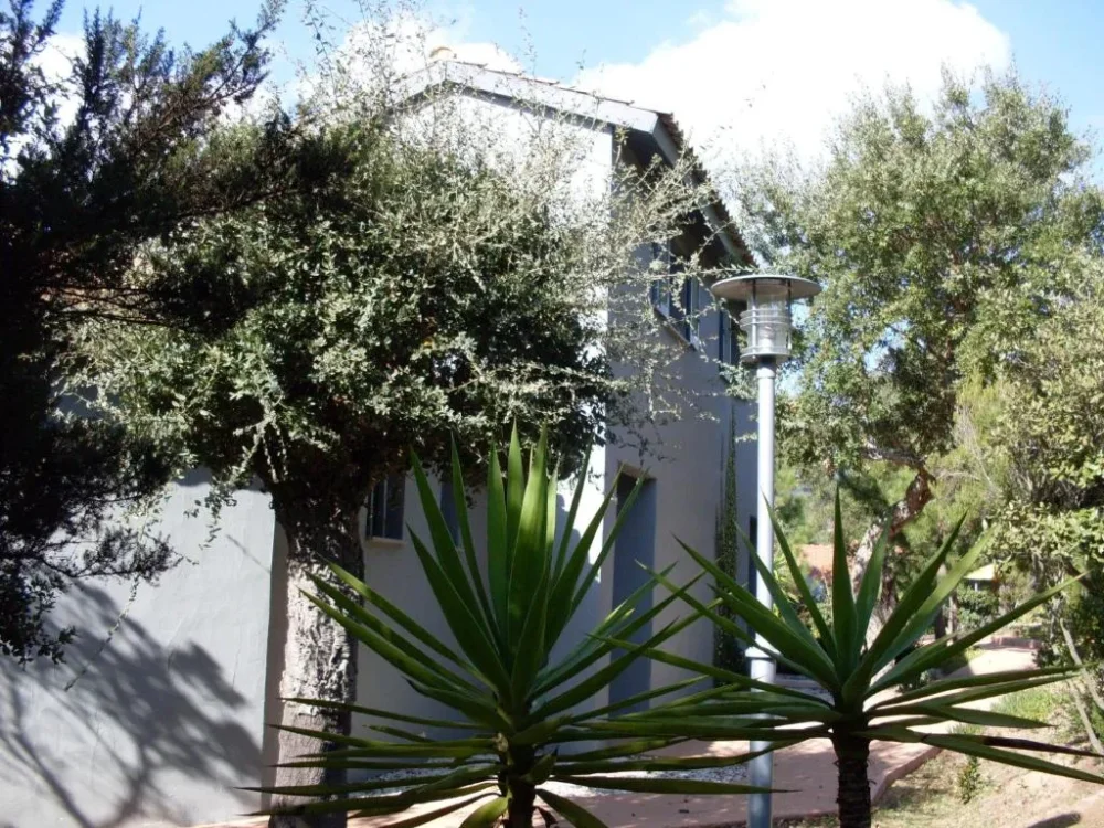 Maison entourée d'arbres et de plantes vertes.