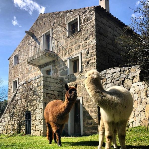 Les Bergeries de Figari