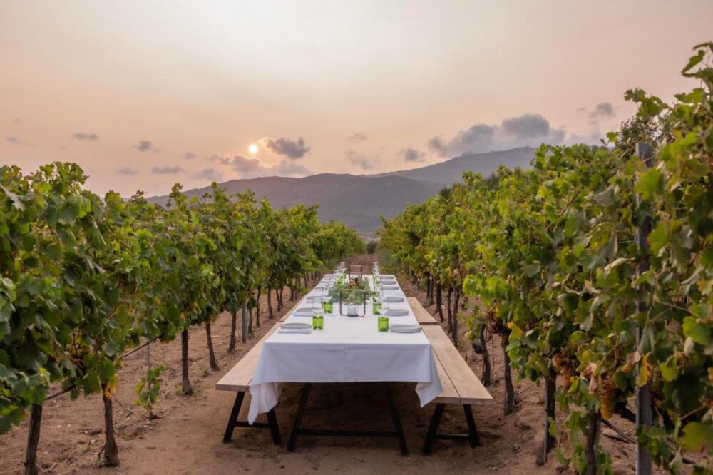 Domaine de Peretti della Rocca à Figari
