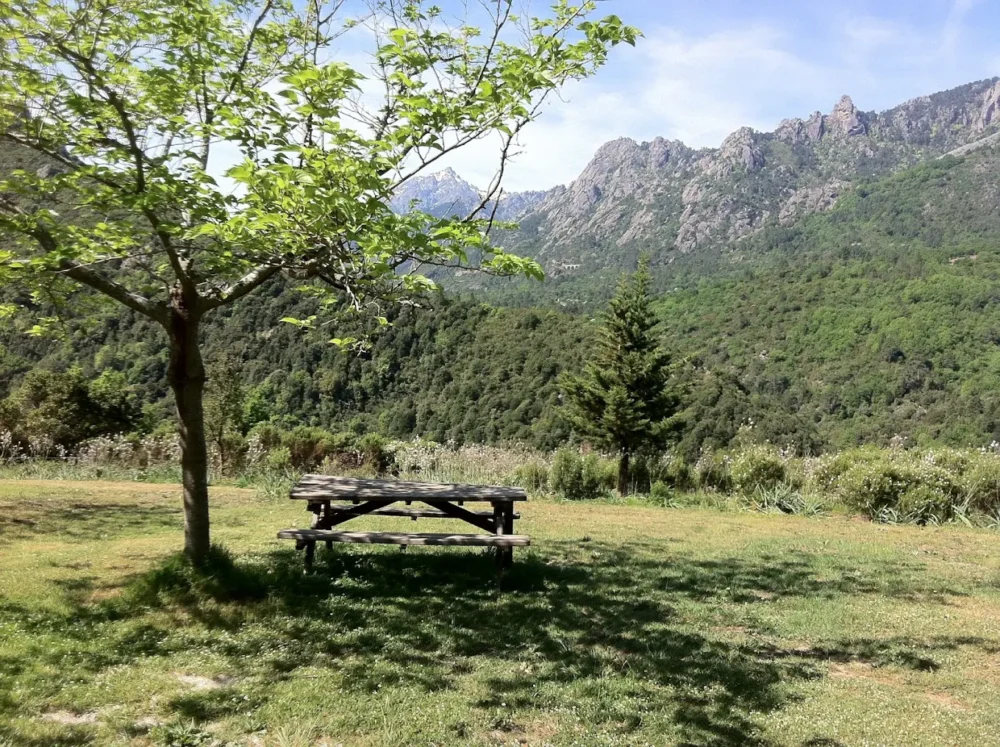 Camping La Ferme de Peridundellu venaco