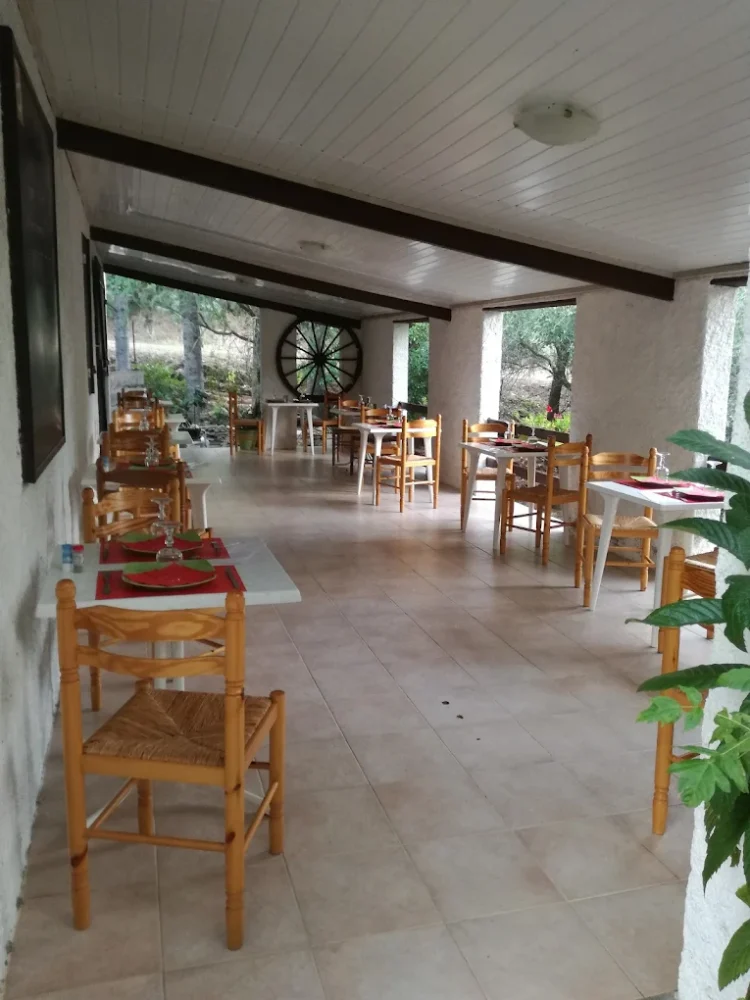 Camping La Ferme de Peridundellu venaco