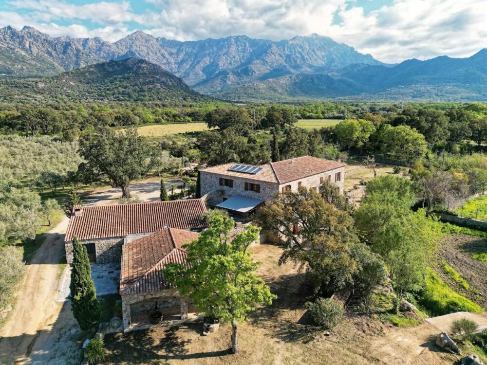 Domaine du Reginu Feliceto