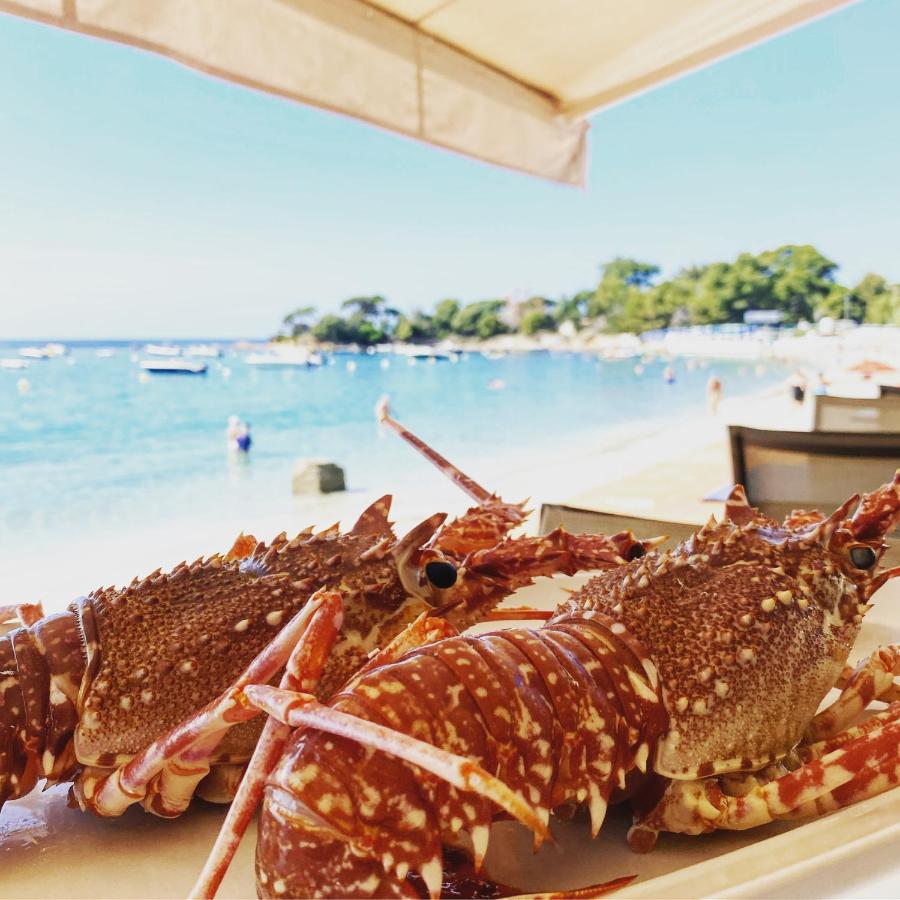 hotel restaurant le palm beach ajaccio