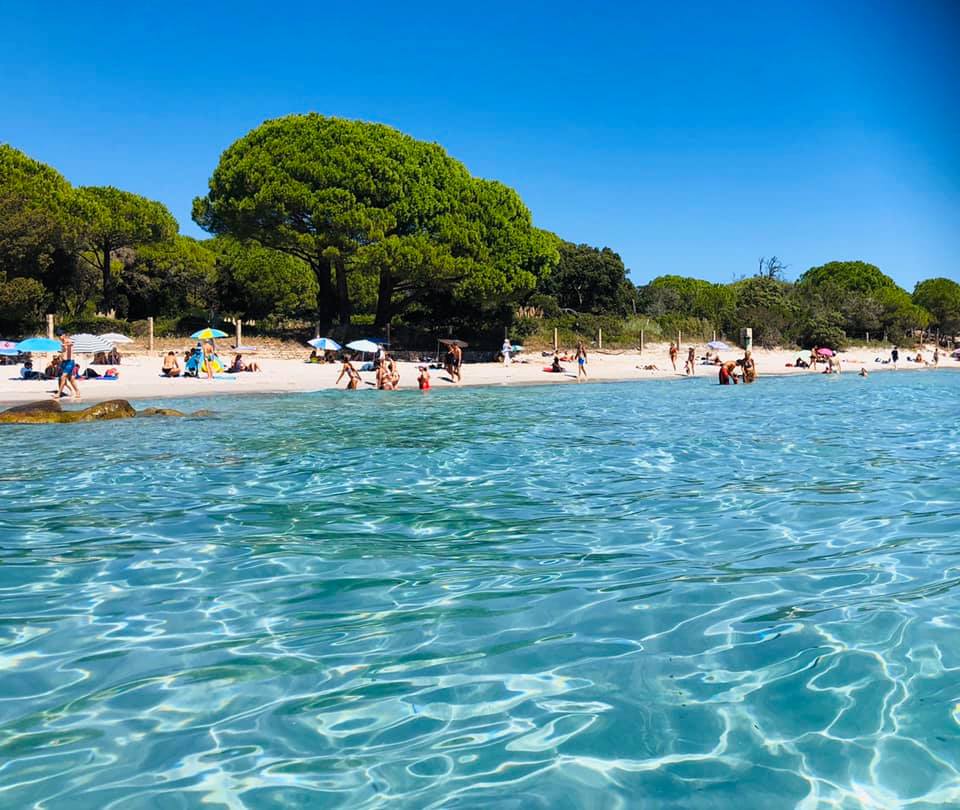 Plage ensoleillée avec mer bleue et baigneurs.