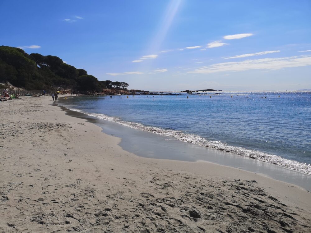 Plage ensoleillée avec mer calme et ciel bleu.