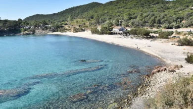 plage de fautea