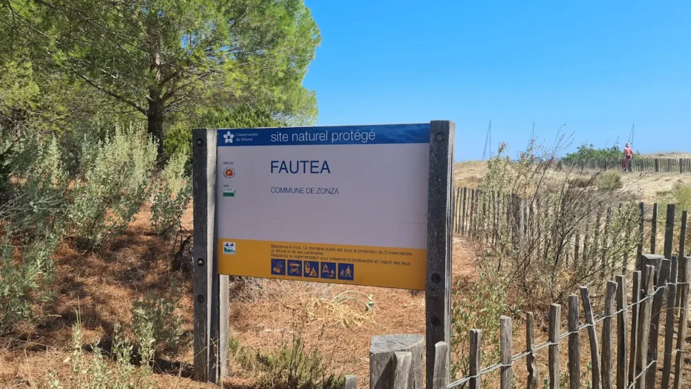 plage de fautea