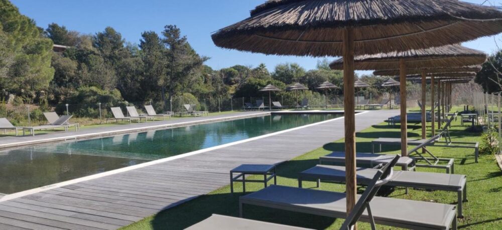 Piscine bordée de transats et parasols en été