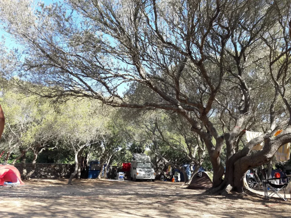 Camping La Pomposa bonifacio