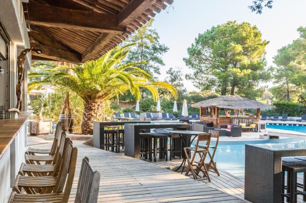 Terrasse avec bar et piscine sous palmier.