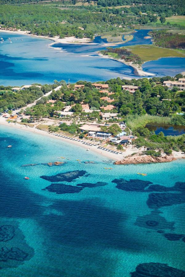 Plage méditerranéenne avec eau turquoise et verdure environnante.