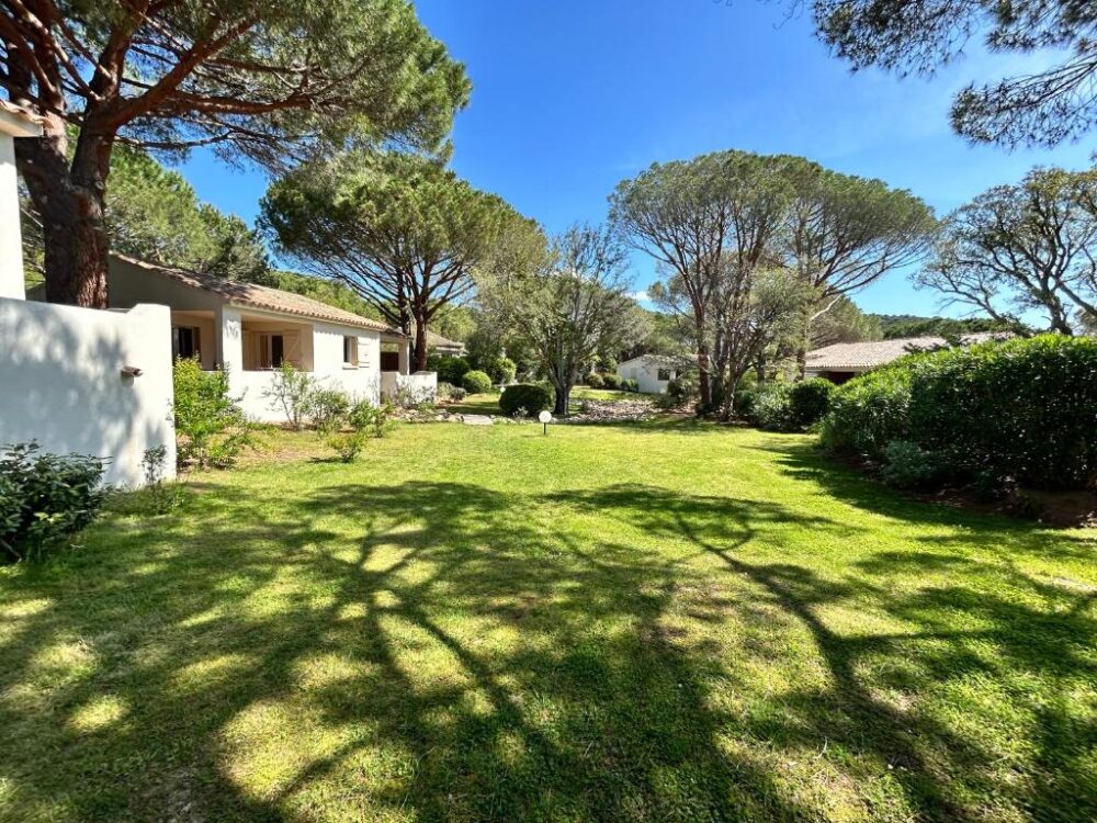 Jardin ensoleillé avec maison et arbres