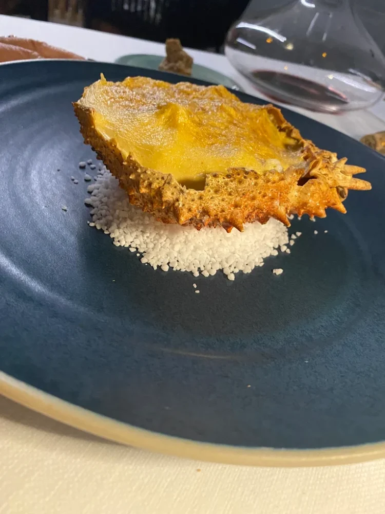 Coquille Saint-Jacques gratinée sur assiette bleue.